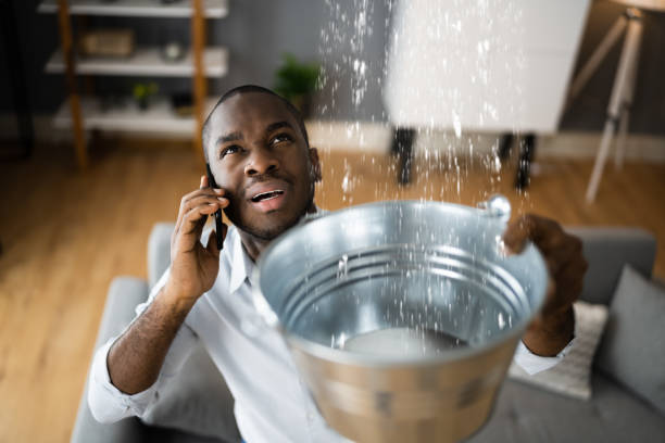 Best Water damage restoration services  in Fort Lauderdale, FL