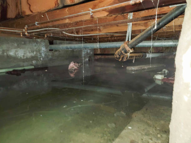 Best Water damage restoration near me  in Fort Lauderdale, FL