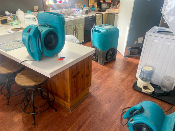 Best Residential water damage restoration  in Fort Lauderdale, FL