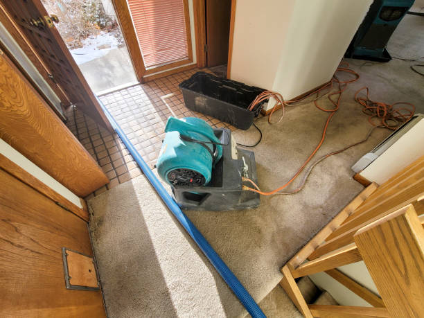Best Water damage restoration near me  in Fort Lauderdale, FL
