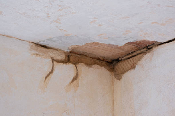 Water damage restoration mold remediation in Fort Lauderdale, FL