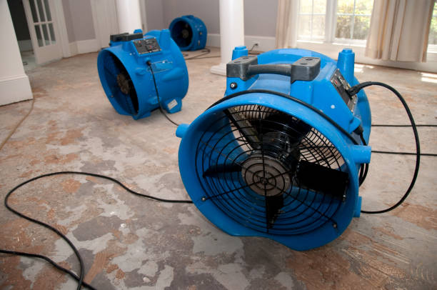 Water damage restoration process in Fort Lauderdale, FL