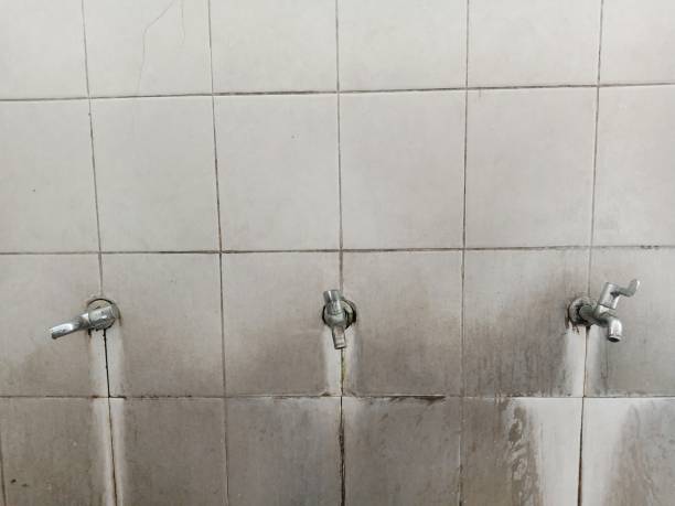 Best 24-hour water damage restoration  in Fort Lauderdale, FL