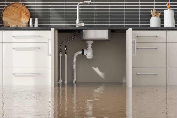 Best Local water damage restoration  in Fort Lauderdale, FL