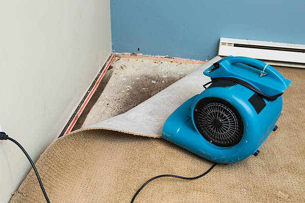Best Sewage cleanup and water damage restoration  in Fort Lauderdale, FL